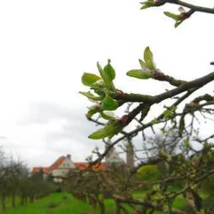 Skupienie w Czerwińsku nad Wisłą