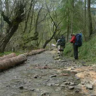 Rajd w Gorce i Pieniny