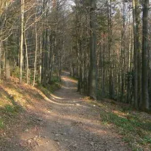 Rajd w Gorce i Pieniny