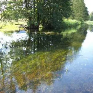 Spływ kajakowy Czarną Hańczą 2008