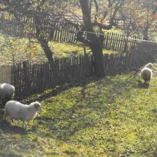 Jesienny rajd w Gorce i Pieniny