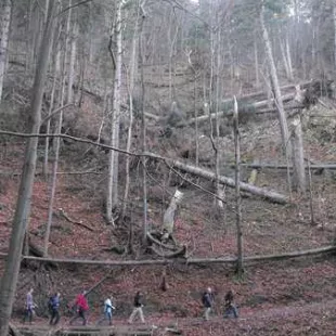 Jesienny rajd w Gorce i Pieniny