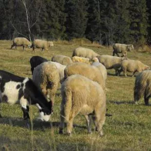 Jesienny rajd w Gorce i Pieniny