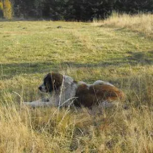 Jesienny rajd w Gorce i Pieniny