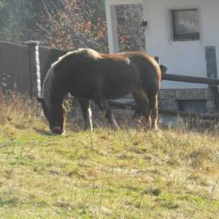 Jesienny rajd w Gorce i Pieniny