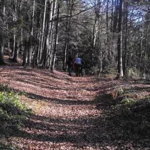 Jesienny rajd w Gorce i Pieniny