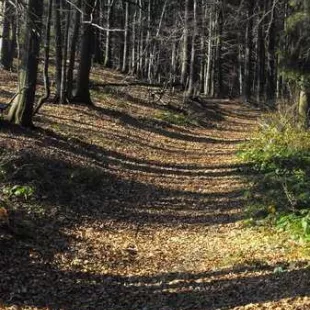 Jesienny rajd w Gorce i Pieniny