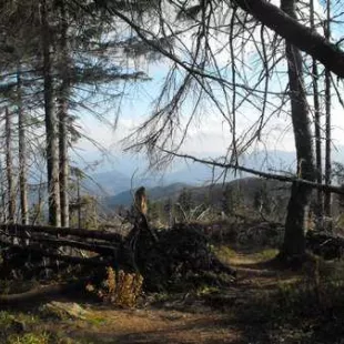 Jesienny rajd w Gorce i Pieniny