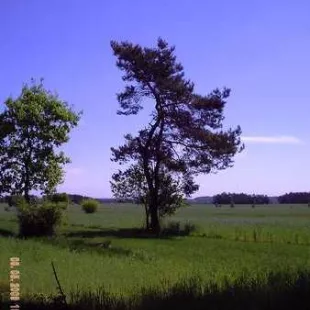 Wycieczka do Parku Wzniesień Łódzkich