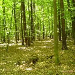 Wycieczka do Parku Wzniesień Łódzkich