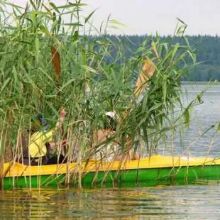 Spływ kajakowy Czarną Hańczą