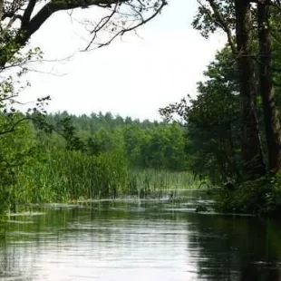 Spływ kajakowy Czarną Hańczą