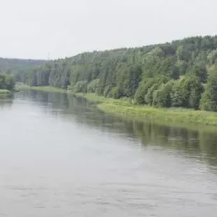 XX Międzynarodowa Piesza Pielgrzymka Suwałki-Wilno