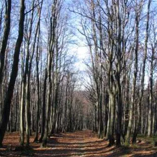 Jesienny Rajd w Beskid Ślaski