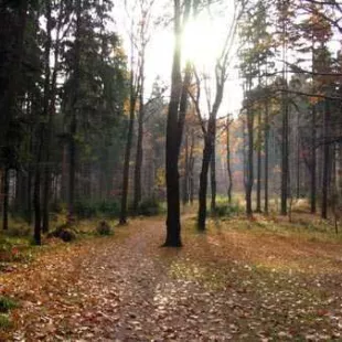 Jesienny Rajd w Beskid Ślaski