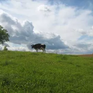 XXII Międzynarodowa Piesza Pielgrzymka Suwałki - Wilno