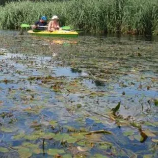 Spływ kajakowy - Łaźna Struga i Ełk