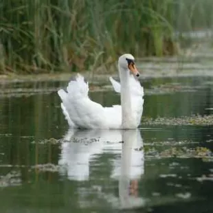 Spływ kajakowy - Łaźna Struga i Ełk - część 2