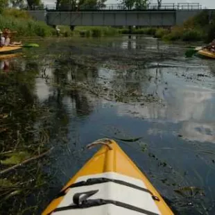 Spływ kajakowy - Łaźna Struga i Ełk - część 2