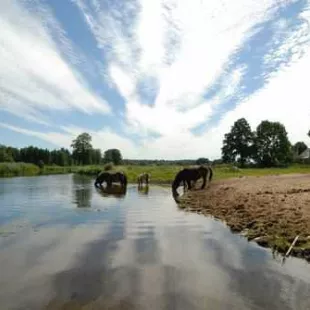 Spływ kajakowy - Łaźna Struga i Ełk - część 2