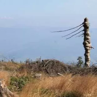 Na górskich szlakach Beskidu Śląskiego