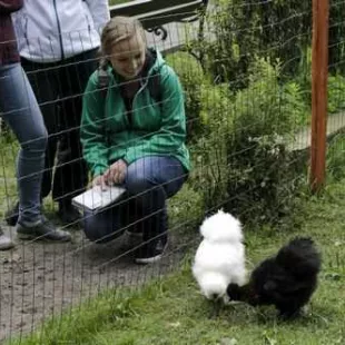 Na górskich szlakach Beskidu Śląskiego