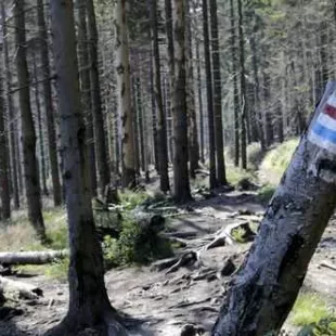 Na górskich szlakach Beskidu Śląskiego