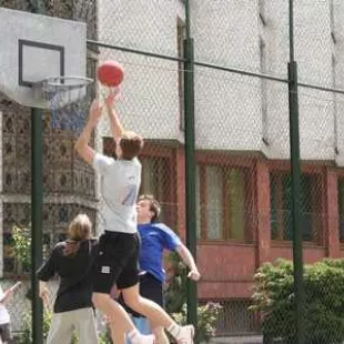 Trio Basket 2006