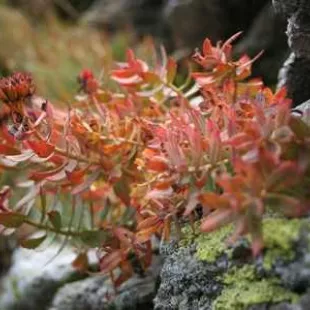 Słowackie Tatry 2006