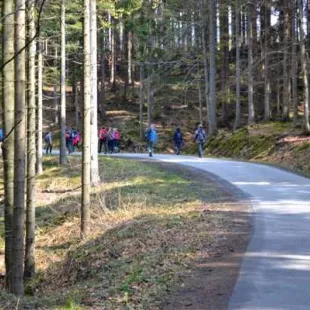 Długi weekend majowy w Beskidzie Śląskim