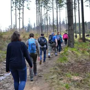 Długi weekend majowy w Beskidzie Śląskim