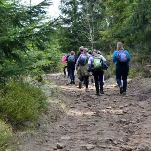 Długi weekend majowy w Beskidzie Śląskim