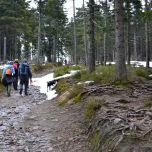 Długi weekend majowy w Beskidzie Śląskim