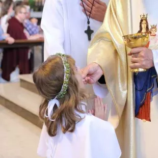 Uroczystość Maryi Wspomożenia Wiernych 