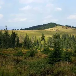 Rajd górskimi szlakami Gorców i Pienin 2018