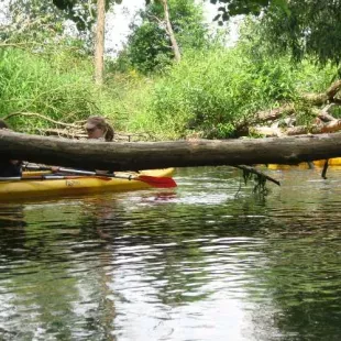 Spływ kajakowy rzeką Grabią