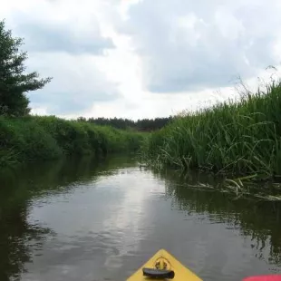 Spływ kajakowy rzeką Grabią