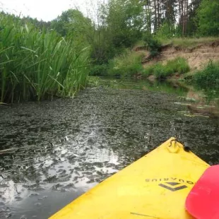 Spływ kajakowy rzeką Grabią