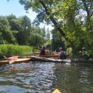 Spływ kajakowy rzeką Grabią