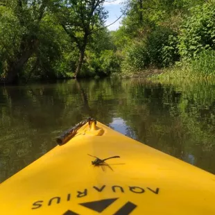 Spływ kajakowy rzeką Grabią