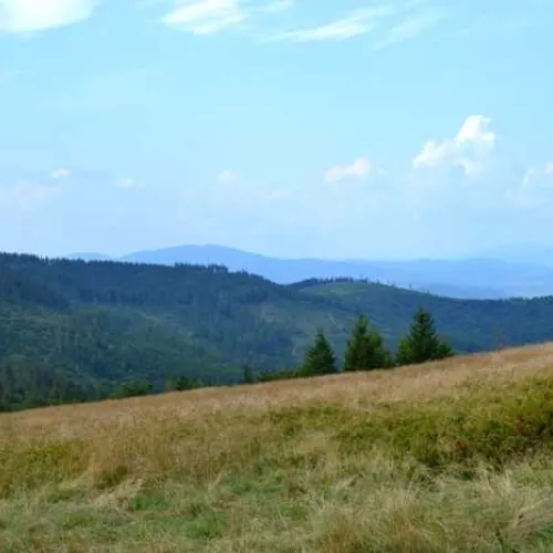 Rajd górskimi szlakami w Beskidzie Żywieckim 